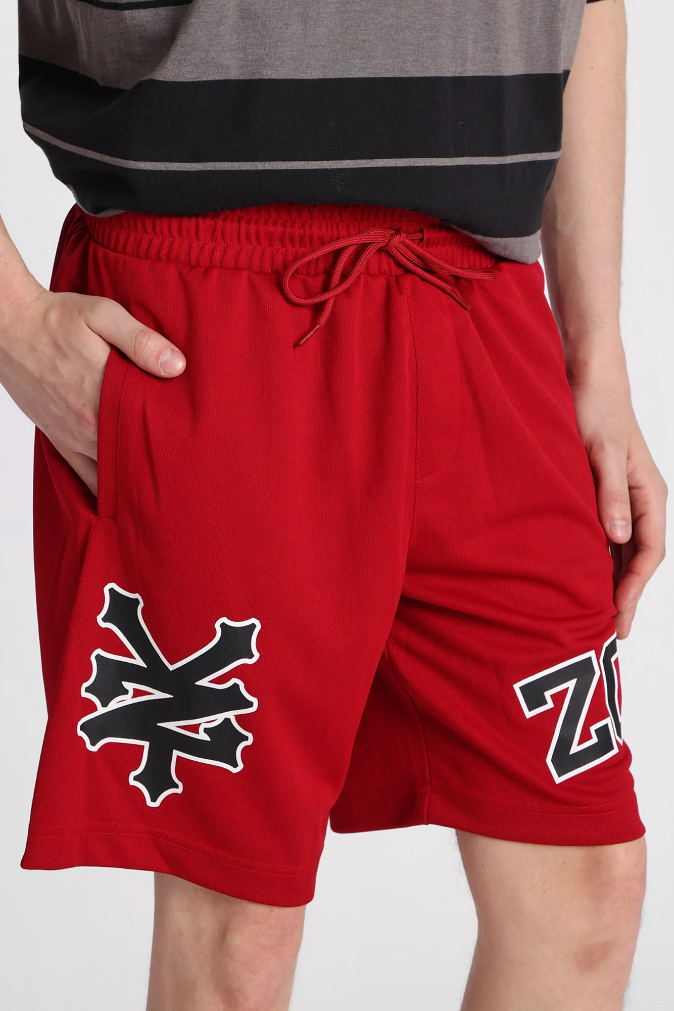 Zoo York Logo Mesh Shorts - Image 10