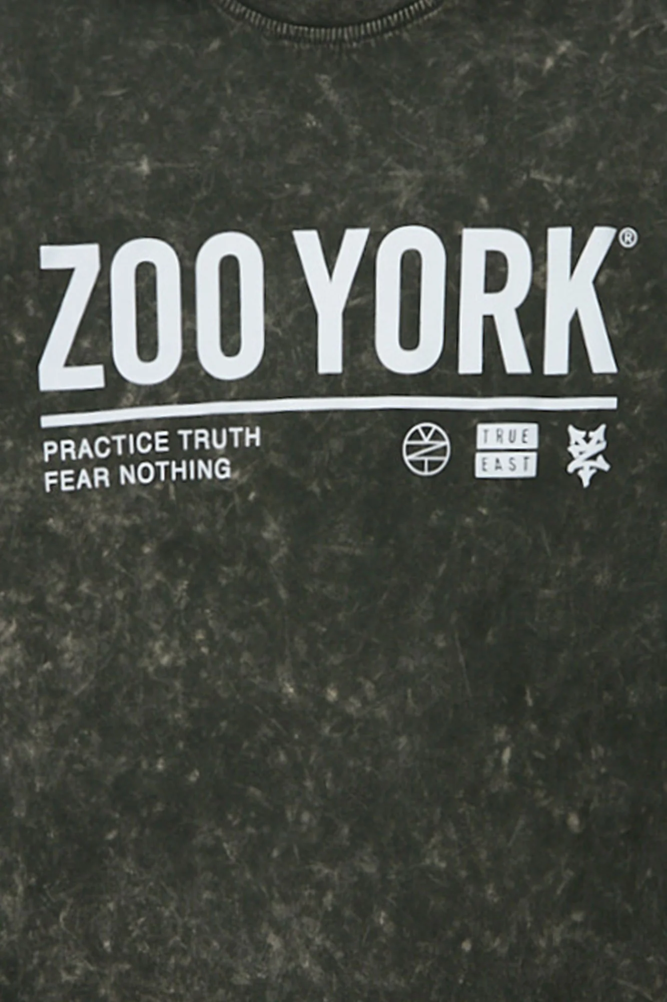 T-shirt surdimensionné délavé imprimé Logo Zoo York - Image 6
