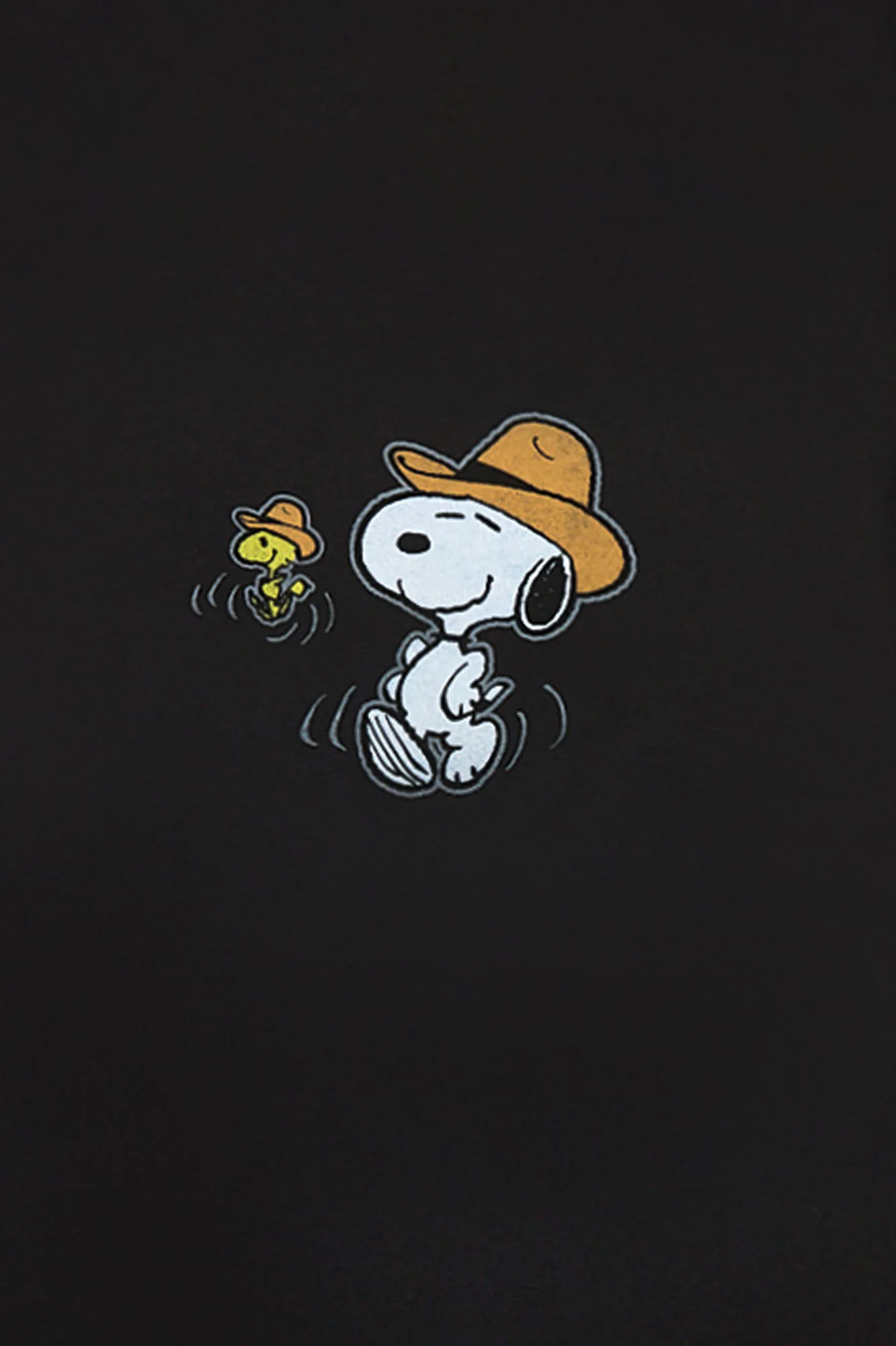 T-shirt imprimé Peanuts Snoopy et Woodstock Cowboy - Image 2